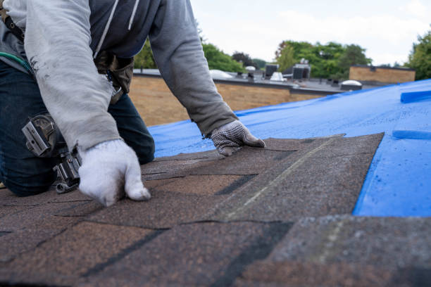 Best Best Roofing Contractors  in Crisfield, MD