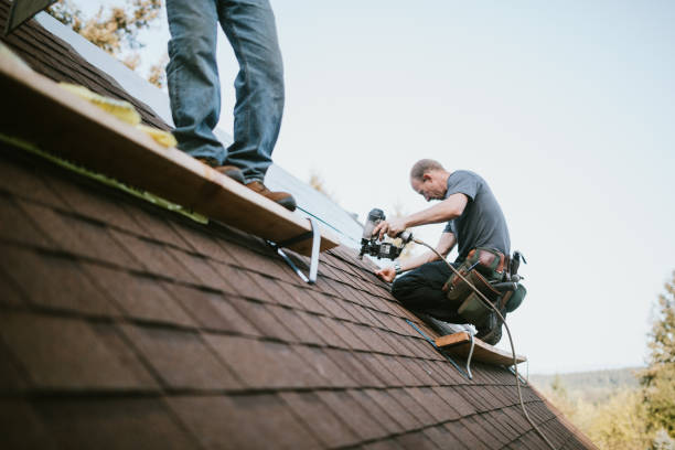 Professional Roofing Contractor in Crisfield, MD